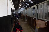 The Light Cavalry HAC Annual Review and Inspection 2014.
Flemish Farm, Windsor Great Park,



on 12 October 2014 at 09:23, image #3