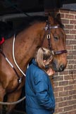 The Light Cavalry HAC Annual Review and Inspection 2014.
Flemish Farm, Windsor Great Park,



on 12 October 2014 at 10:03, image #20