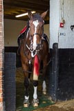 The Light Cavalry HAC Annual Review and Inspection 2014.
Flemish Farm, Windsor Great Park,



on 12 October 2014 at 10:12, image #23