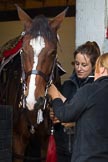 The Light Cavalry HAC Annual Review and Inspection 2014.
Flemish Farm, Windsor Great Park,



on 12 October 2014 at 10:13, image #24