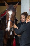 The Light Cavalry HAC Annual Review and Inspection 2014.
Flemish Farm, Windsor Great Park,



on 12 October 2014 at 10:13, image #24