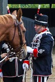 The Light Cavalry HAC Annual Review and Inspection 2014.
Flemish Farm, Windsor Great Park,



on 12 October 2014 at 10:18, image #26