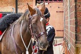 The Light Cavalry HAC Annual Review and Inspection 2014.
Flemish Farm, Windsor Great Park,



on 12 October 2014 at 10:19, image #27