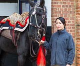 The Light Cavalry HAC Annual Review and Inspection 2014.
Flemish Farm, Windsor Great Park,



on 12 October 2014 at 10:19, image #28