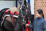 The Light Cavalry HAC Annual Review and Inspection 2014.
Flemish Farm, Windsor Great Park,



on 12 October 2014 at 10:19, image #29