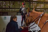 The Light Cavalry HAC Annual Review and Inspection 2014.
Flemish Farm, Windsor Great Park,



on 12 October 2014 at 10:21, image #30