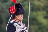 The Light Cavalry HAC Annual Review and Inspection 2014.
Guards Polo Club. Windsor Great Park,



on 12 October 2014 at 12:51, image #114