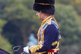 The Light Cavalry HAC Annual Review and Inspection 2014.
Guards Polo Club. Windsor Great Park,



on 12 October 2014 at 12:52, image #116