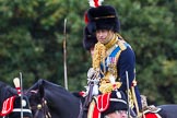 The Light Cavalry HAC Annual Review and Inspection 2014.
Guards Polo Club. Windsor Great Park,



on 12 October 2014 at 12:56, image #131