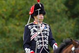 The Light Cavalry HAC Annual Review and Inspection 2014.
Guards Polo Club. Windsor Great Park,



on 12 October 2014 at 13:04, image #166