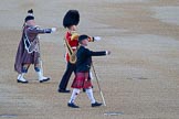 Beating Retreat 2015 - Waterloo 200.
Horse Guards Parade, Westminster,
London,

United Kingdom,
on 10 June 2015 at 19:36, image #13