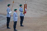 Photo 1506102034201D48494HaraldJoergens Beating Retreat 2015 - Waterloo 200.
Horse Guards Parade, Westminster,
London,
United Kingdom,
on 10 June 2015 at 20:34, image #136