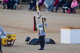 Beating Retreat 2015 - Waterloo 200.
Horse Guards Parade, Westminster,
London,

United Kingdom,
on 10 June 2015 at 20:39, image #155