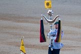 Beating Retreat 2015 - Waterloo 200.
Horse Guards Parade, Westminster,
London,

United Kingdom,
on 10 June 2015 at 20:40, image #170