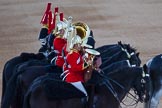 Photo 1506102048451D48830HaraldJoergens Beating Retreat 2015 - Waterloo 200.
Horse Guards Parade, Westminster,
London,
United Kingdom,
on 10 June 2015 at 20:48, image #201
