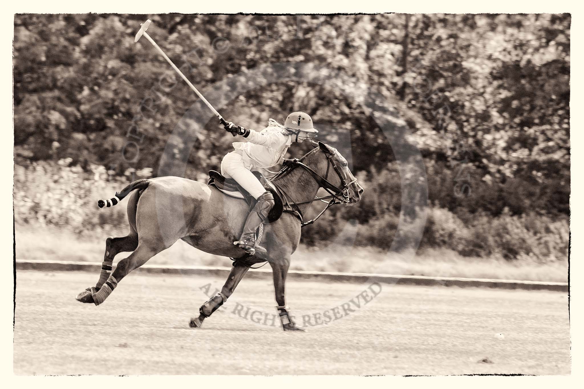 7th Heritage Polo Cup semi-finals: Clare Payne, Team Emerging Switzerland..
Hurtwood Park Polo Club,
Ewhurst Green,
Surrey,
United Kingdom,
on 04 August 2012 at 11:21, image #34
