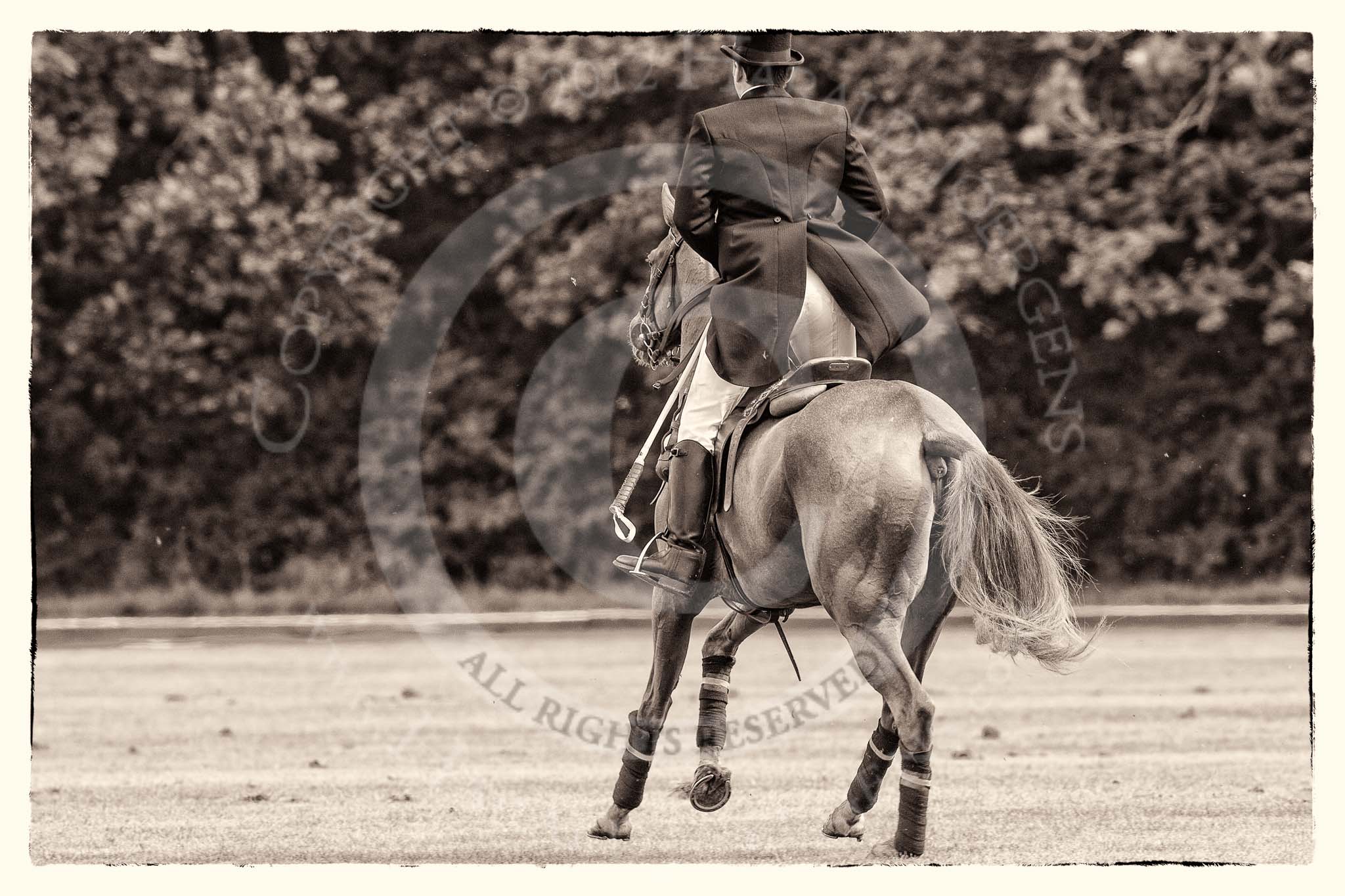 7th Heritage Polo Cup semi-finals: Umpire Gaston Devrient In Tail & Ascot Top Hat..
Hurtwood Park Polo Club,
Ewhurst Green,
Surrey,
United Kingdom,
on 04 August 2012 at 11:24, image #38