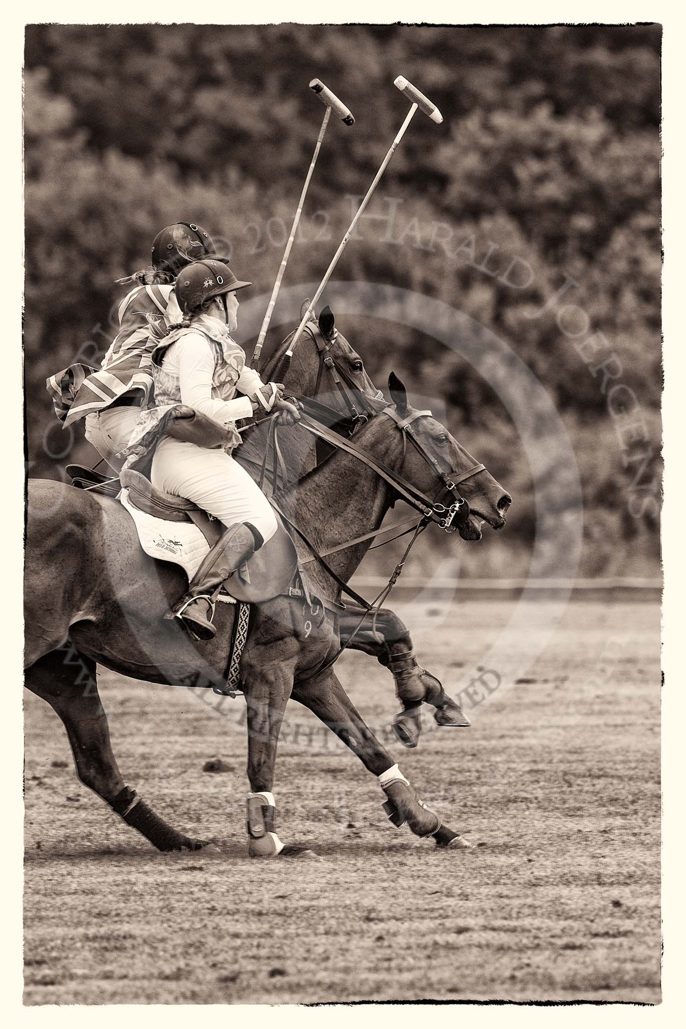 7th Heritage Polo Cup semi-finals: Rosie Ross leads on the ball. Barbara P Zingg on the ride off..
Hurtwood Park Polo Club,
Ewhurst Green,
Surrey,
United Kingdom,
on 04 August 2012 at 13:32, image #144