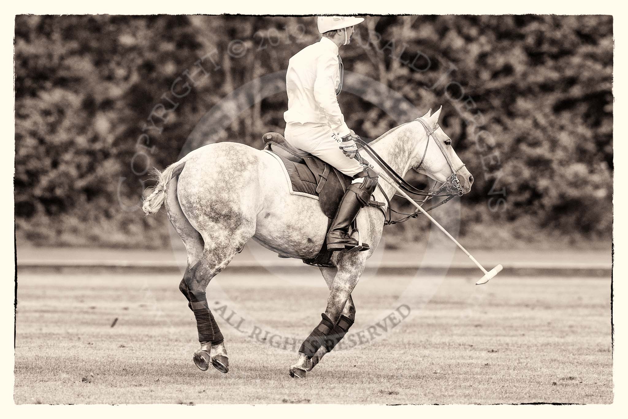 7th Heritage Polo Cup semi-finals: La Golondrina Argentina Pedro Harrison with his beautiful mare..
Hurtwood Park Polo Club,
Ewhurst Green,
Surrey,
United Kingdom,
on 04 August 2012 at 15:34, image #254