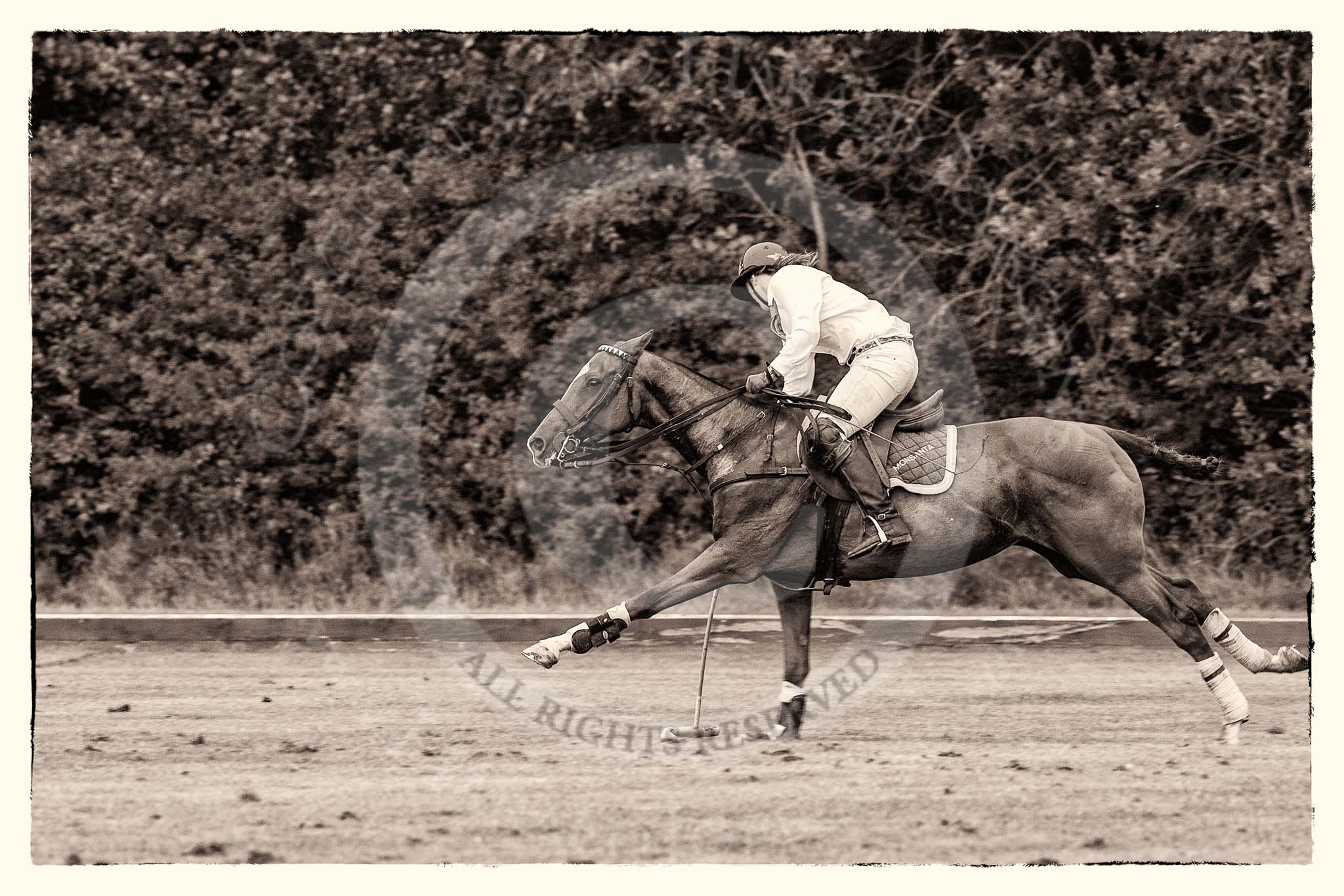 7th Heritage Polo Cup semi-finals: La Golondrina Argentina Brownie Taylor (0) GB..
Hurtwood Park Polo Club,
Ewhurst Green,
Surrey,
United Kingdom,
on 04 August 2012 at 15:50, image #288