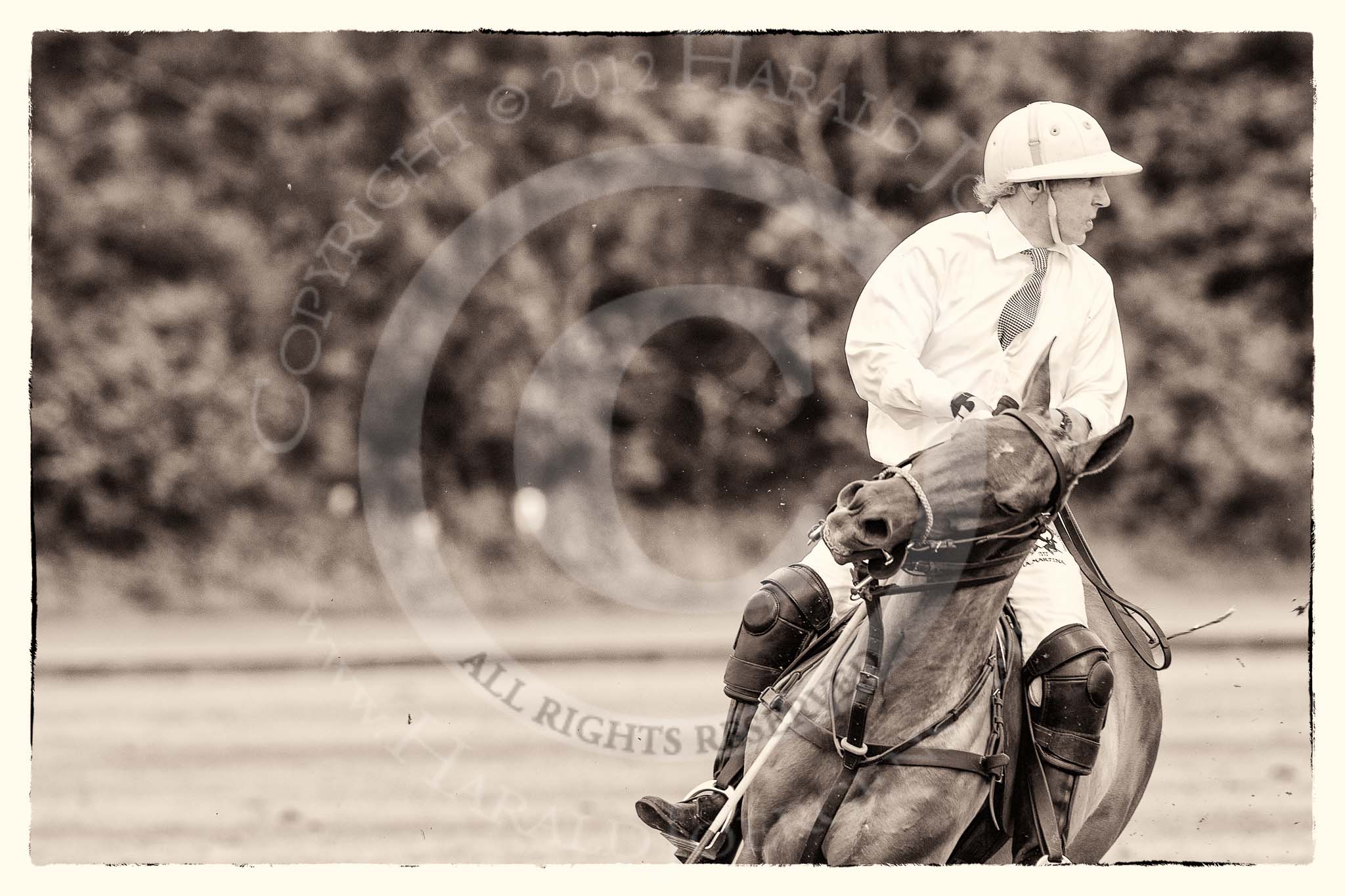 7th Heritage Polo Cup semi-finals: La Golondrina Paul Oberschneider..
Hurtwood Park Polo Club,
Ewhurst Green,
Surrey,
United Kingdom,
on 04 August 2012 at 16:01, image #307