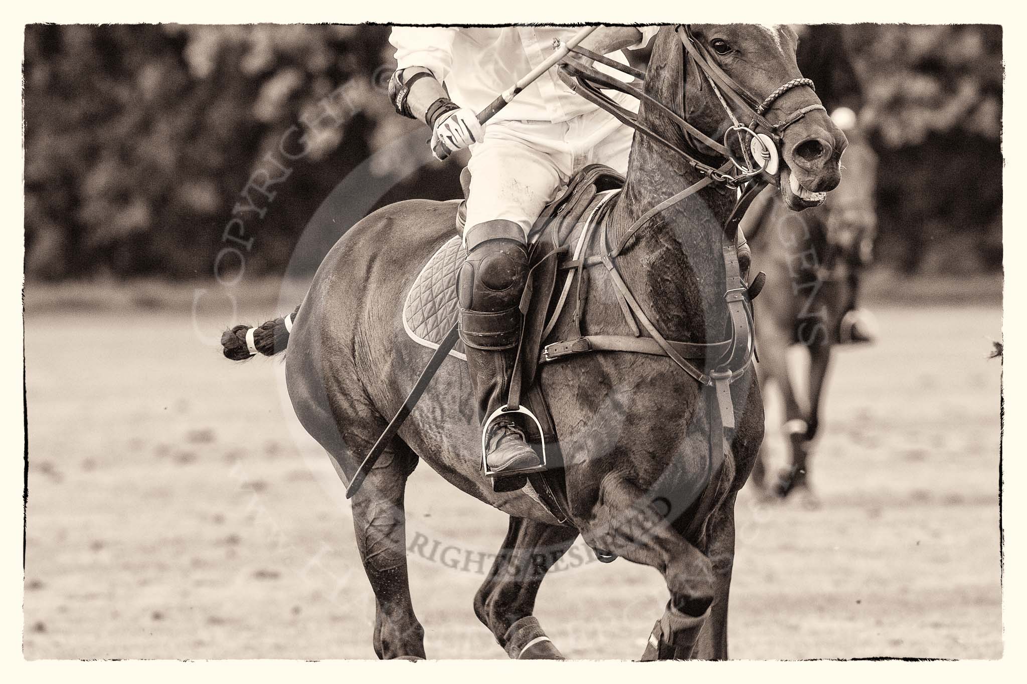 7th Heritage Polo Cup semi-finals: Pepe Riglos La Golondrina Argentina..
Hurtwood Park Polo Club,
Ewhurst Green,
Surrey,
United Kingdom,
on 04 August 2012 at 16:56, image #340