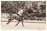 7th Heritage Polo Cup semi-finals: Clare Payne, Team Emerging Switzerland..
Hurtwood Park Polo Club,
Ewhurst Green,
Surrey,
United Kingdom,
on 04 August 2012 at 11:21, image #34