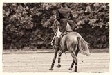 7th Heritage Polo Cup semi-finals: Umpire Gaston Devrient In Tail & Ascot Top Hat..
Hurtwood Park Polo Club,
Ewhurst Green,
Surrey,
United Kingdom,
on 04 August 2012 at 11:24, image #38