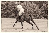 7th Heritage Polo Cup semi-finals: Nico Talamoni, Team Emerging Switzerland, in T.M.Lewin Check Shirt..
Hurtwood Park Polo Club,
Ewhurst Green,
Surrey,
United Kingdom,
on 04 August 2012 at 11:24, image #40