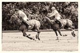 7th Heritage Polo Cup semi-finals: John Martin, Team Silver Fox USA, playing to goal, followed by Nico Talamoni, Team Emerging Switzerland..
Hurtwood Park Polo Club,
Ewhurst Green,
Surrey,
United Kingdom,
on 04 August 2012 at 11:37, image #67