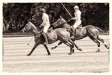 7th Heritage Polo Cup semi-finals: John Martin, Team Silver Fox USA & Nico Talamoni, Team Emerging Switzerland..
Hurtwood Park Polo Club,
Ewhurst Green,
Surrey,
United Kingdom,
on 04 August 2012 at 11:37, image #70