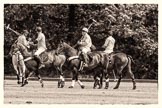 7th Heritage Polo Cup semi-finals: Parke Bradley, Silver Fox Polo Team..
Hurtwood Park Polo Club,
Ewhurst Green,
Surrey,
United Kingdom,
on 04 August 2012 at 11:48, image #79