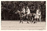 7th Heritage Polo Cup semi-finals: Park Bradley with his Polo Team Silver Fox USA..
Hurtwood Park Polo Club,
Ewhurst Green,
Surrey,
United Kingdom,
on 04 August 2012 at 11:48, image #80