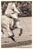 7th Heritage Polo Cup semi-finals: The Amazons of Polo sponsored by Polistas - Barbara P Zingg wearing Liberty Freedom..
Hurtwood Park Polo Club,
Ewhurst Green,
Surrey,
United Kingdom,
on 04 August 2012 at 13:14, image #117
