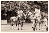 7th Heritage Polo Cup semi-finals: Heloise Lorentzen in discussion with The Amazon of Polo Team sponsored by Polistas - Barbara P Zingg & Emma Boers..
Hurtwood Park Polo Club,
Ewhurst Green,
Surrey,
United Kingdom,
on 04 August 2012 at 13:17, image #120