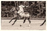 7th Heritage Polo Cup semi-finals: Heloise Lorentzen in full swing..
Hurtwood Park Polo Club,
Ewhurst Green,
Surrey,
United Kingdom,
on 04 August 2012 at 13:18, image #123