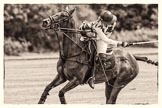 Photo 1208041335251D42552HaraldJoergensE1239 7th Heritage Polo Cup semi-finals: Sarah Wisman taking a nearside backshot..
Hurtwood Park Polo Club,
Ewhurst Green,
Surrey,
United Kingdom,
on 04 August 2012 at 13:35, image #158