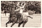 Photo 1208041335251D42554HaraldJoergensE1241 7th Heritage Polo Cup semi-finals: Sarah Wisman looking back at her nearside back shot and pass to her Team mate of..
Hurtwood Park Polo Club,
Ewhurst Green,
Surrey,
United Kingdom,
on 04 August 2012 at 13:35, image #160