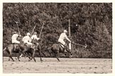 7th Heritage Polo Cup semi-finals: La Mariposa Argentina Timothy Rose following the ball with Brownie Taylor on his side..
Hurtwood Park Polo Club,
Ewhurst Green,
Surrey,
United Kingdom,
on 04 August 2012 at 15:53, image #295