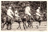 7th Heritage Polo Cup semi-finals: Back to centre..
Hurtwood Park Polo Club,
Ewhurst Green,
Surrey,
United Kingdom,
on 04 August 2012 at 16:13, image #316