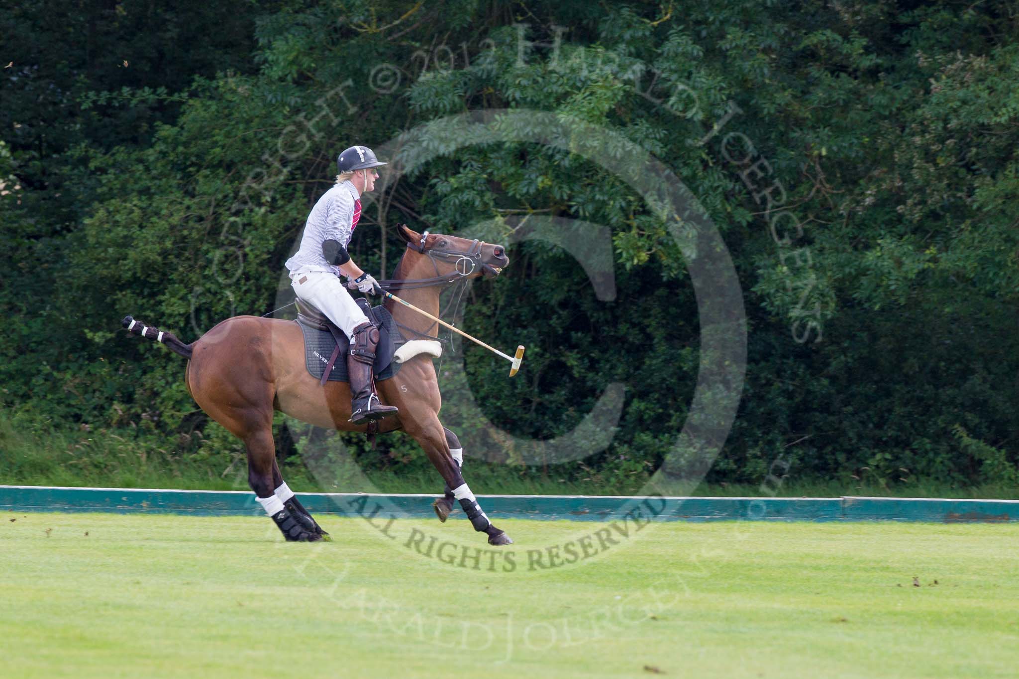 7th Heritage Polo Cup semi-finals: Henry Fisher, Team Silver Fox USA, stopping..
Hurtwood Park Polo Club,
Ewhurst Green,
Surrey,
United Kingdom,
on 04 August 2012 at 11:10, image #16