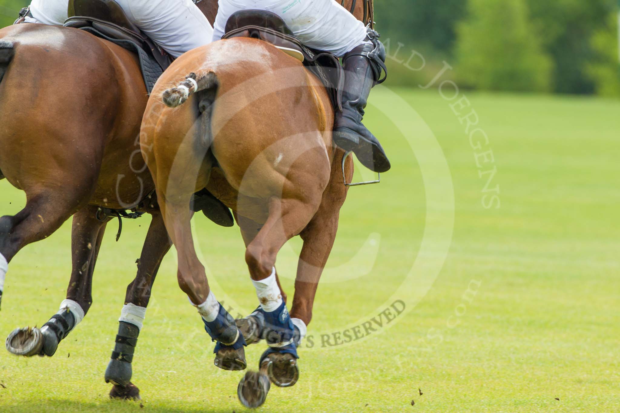 7th Heritage Polo Cup semi-finals: HERITAGE POLO ride off..
Hurtwood Park Polo Club,
Ewhurst Green,
Surrey,
United Kingdom,
on 04 August 2012 at 11:11, image #26