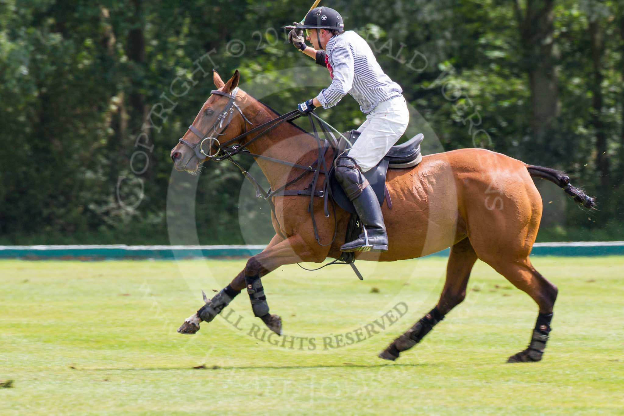 7th Heritage Polo Cup semi-finals: John Martin, Team Silver Fox USA..
Hurtwood Park Polo Club,
Ewhurst Green,
Surrey,
United Kingdom,
on 04 August 2012 at 11:35, image #58