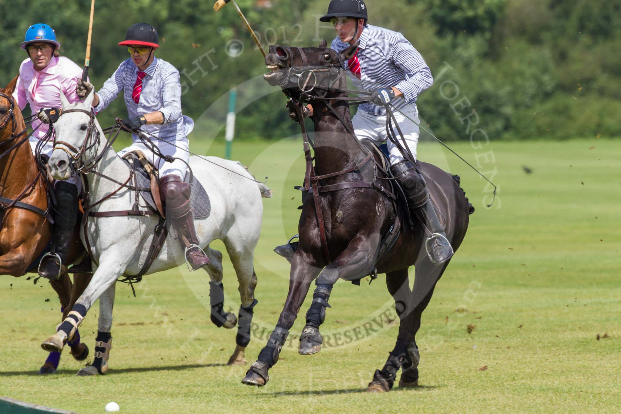7th Heritage Polo Cup semi-finals: John Martin, Team Silver Fox USA & James Rome following..
Hurtwood Park Polo Club,
Ewhurst Green,
Surrey,
United Kingdom,
on 04 August 2012 at 11:42, image #73