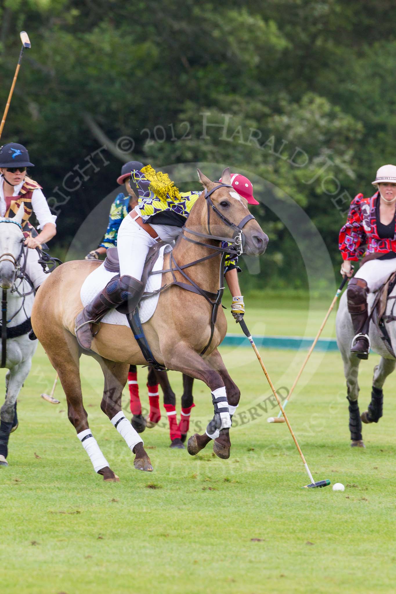 7th Heritage Polo Cup semi-finals: AMG PETROENERGY Sophie Kyriazi playing a nearside..
Hurtwood Park Polo Club,
Ewhurst Green,
Surrey,
United Kingdom,
on 04 August 2012 at 14:25, image #219