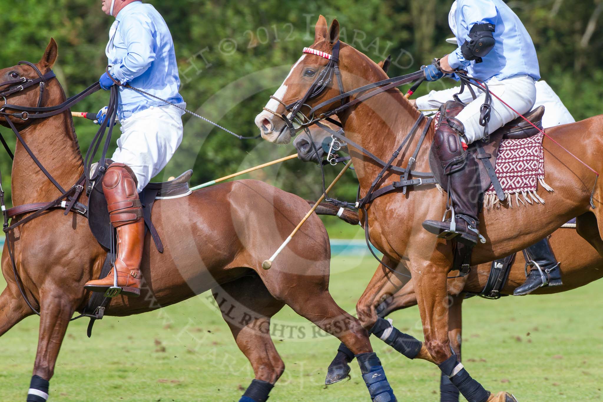 7th Heritage Polo Cup semi-finals: La Mariposa Argentina Polo Team..
Hurtwood Park Polo Club,
Ewhurst Green,
Surrey,
United Kingdom,
on 04 August 2012 at 16:49, image #327