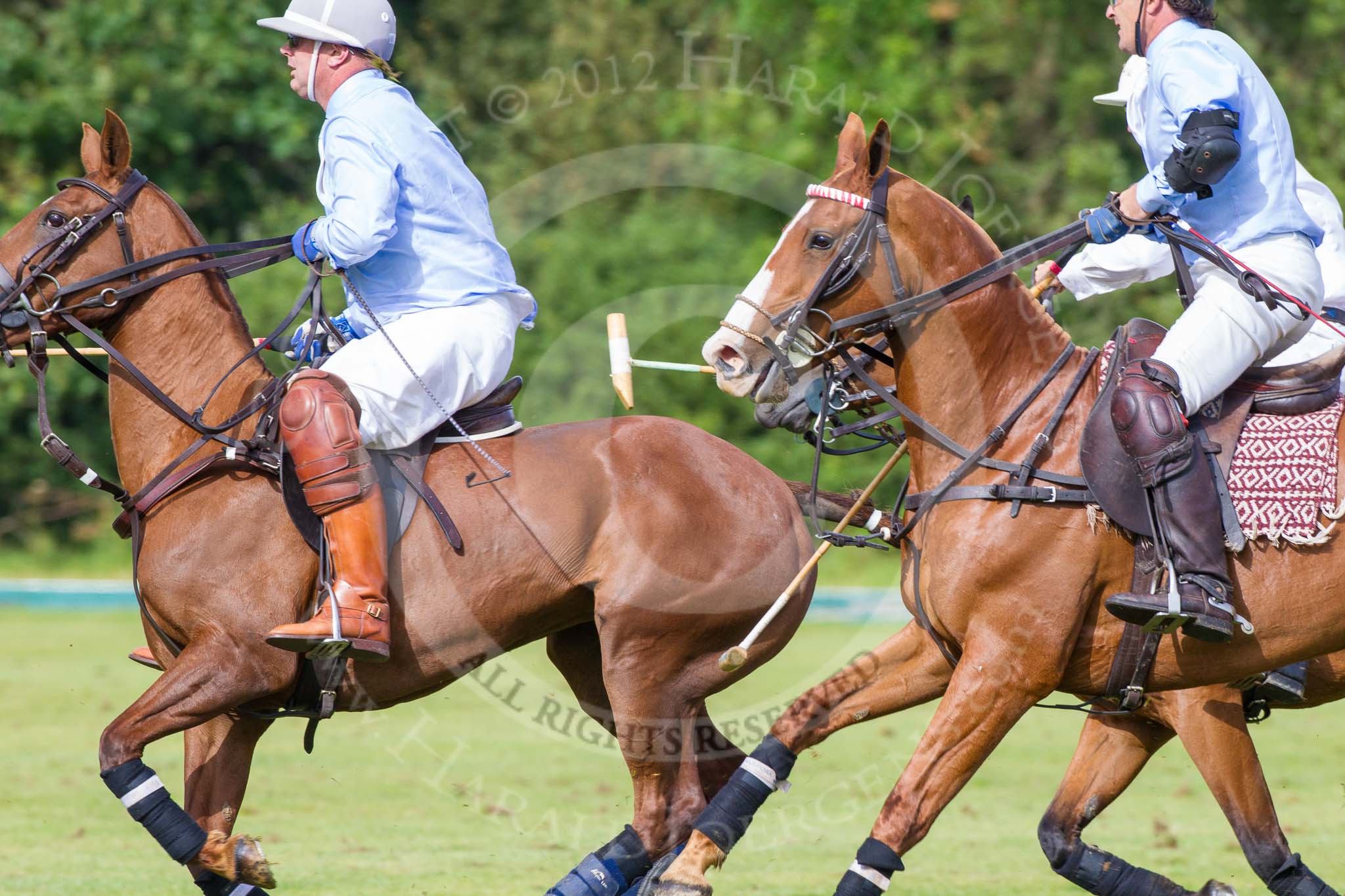 7th Heritage Polo Cup semi-finals: La Mariposa Argentina Polo Team..
Hurtwood Park Polo Club,
Ewhurst Green,
Surrey,
United Kingdom,
on 04 August 2012 at 16:49, image #328