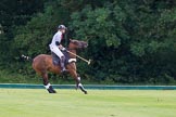 7th Heritage Polo Cup semi-finals: Henry Fisher, Team Silver Fox USA, stopping..
Hurtwood Park Polo Club,
Ewhurst Green,
Surrey,
United Kingdom,
on 04 August 2012 at 11:10, image #16