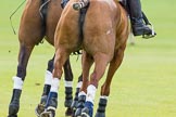 7th Heritage Polo Cup semi-finals: HERITAGE POLO horsepower..
Hurtwood Park Polo Club,
Ewhurst Green,
Surrey,
United Kingdom,
on 04 August 2012 at 11:11, image #25