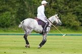 7th Heritage Polo Cup semi-finals: La Golondrina Argentina Pedro Harrison with his beautiful mare..
Hurtwood Park Polo Club,
Ewhurst Green,
Surrey,
United Kingdom,
on 04 August 2012 at 15:34, image #254
